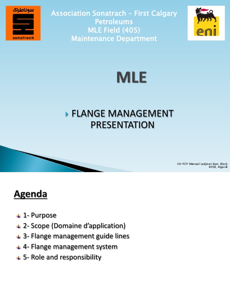 Flange Management Guidelines for MLE Field | PDF | Mechanical ...