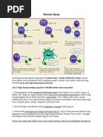 Download Fungsi Sistem Imun by Yusep Jatnika SN47970057 doc pdf