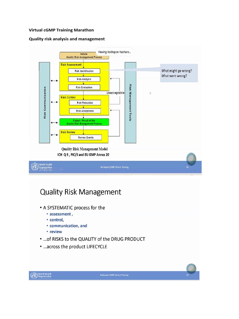 cGMP Training: Quality Risk Management | PDF