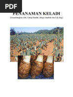 Taro Yam PDF