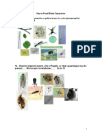 Plankton Key PDF
