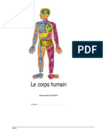 le-corps-humain-17.pdf