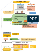 Fisio Mapa Renal