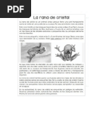 LECTURA LA RANA DE CRISTAL