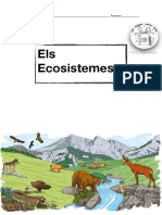Dossier Ciències Naturals. Els Ecosistemes PDF