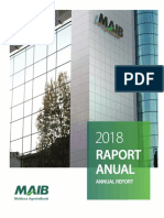 Raport Anual PDF