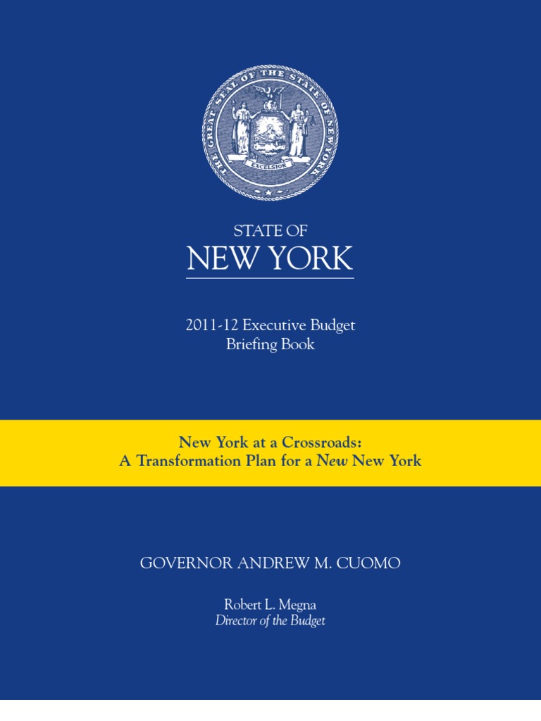 NYS BUDGET BRIEFING BOOK Economic Development Taxes