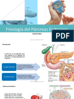 Fisiología Páncreas Endocrino