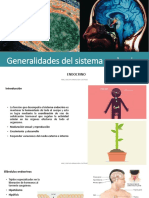 Generalidades de Endocrino 2020