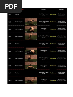 athlean x 22 day pushup workout pdf physical exercise physical fitness