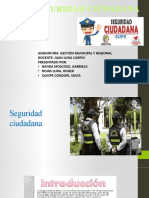 Diapositivas Seguridad Ciudadana