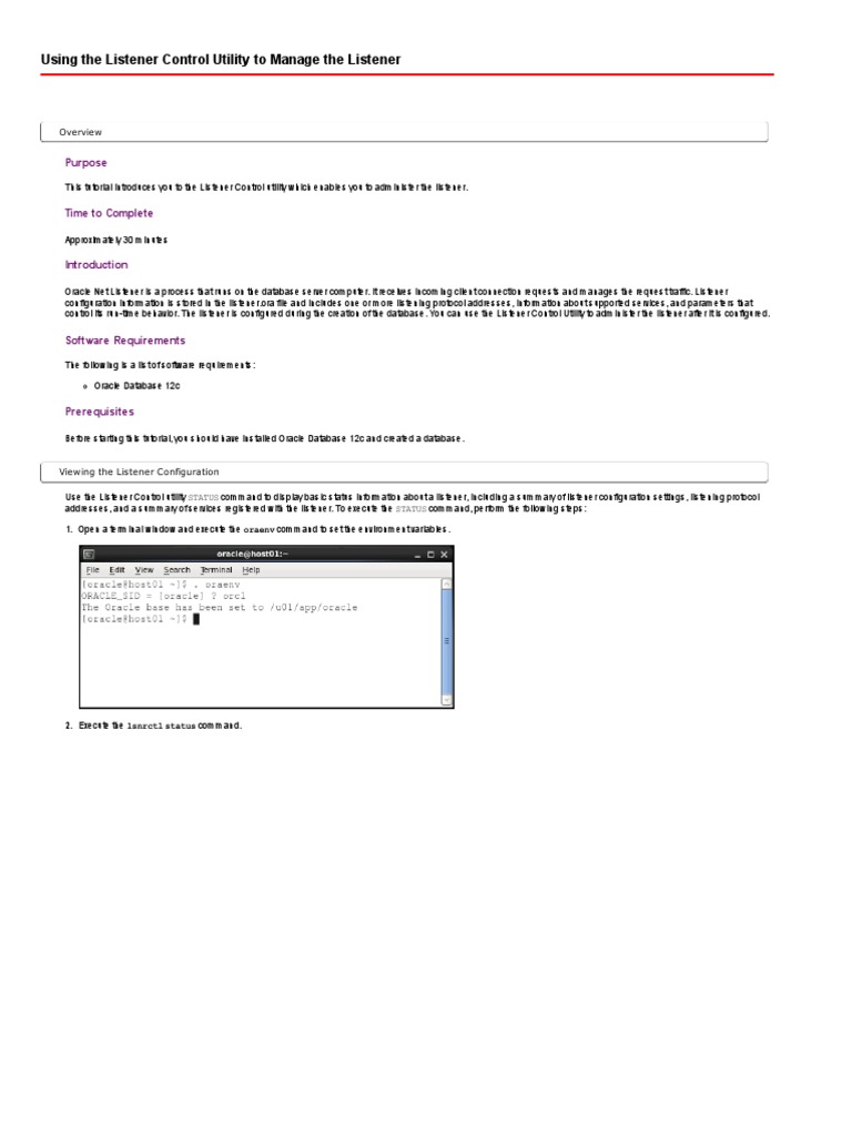 3-Using The Listener Control Utility To Manage The Listener PDF | PDF ...