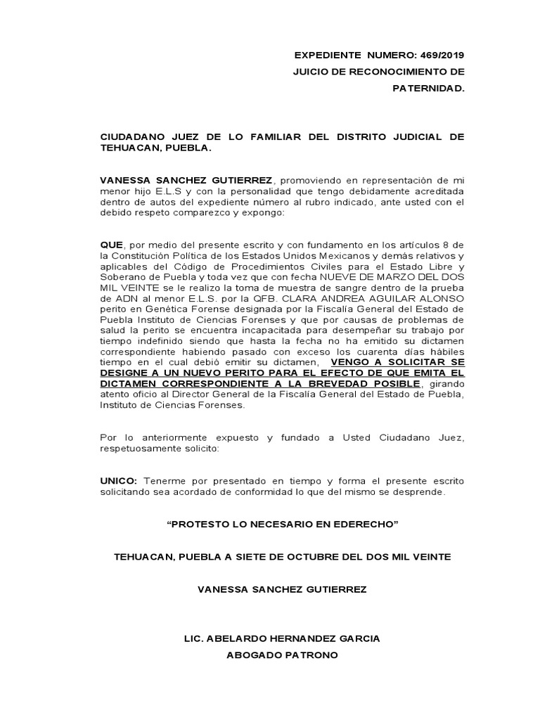 designacion-de-perito-pdf