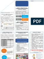 Elecciones Del CSST - 2019 - 2021 - Triptico