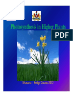 Photosynthesis in Higher Plants y G: Vikasana - Bridge Course 2012