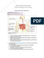 T00107022p000080005trabajo de Ciencias Naturales