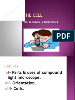 HDTD-1-B-P-the Cell