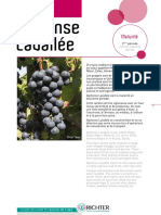 CATALOGUE - Guide raisin de table SEPT 2017coul V5 (1)-pages-supprimées.pdf