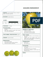 fiche golden reinders.pdf