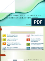 Finalidad Del Pacto Internacional de Derechos Civiles y Politicos