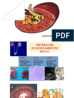 Bioq Clínica3 Pruebas de Funcionamiento Renal - Odp