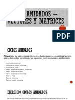 Ciclos Anidados-Vectores-Matrices PDF