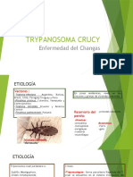 Trypanosoma Crucy
