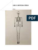 Taller 3 Sistema Oseo