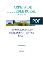 Carpeta A120 - Gualeguay Entre Rios 20 Hectareas.pdf