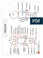 PARTE DEL CUERPO HUMANO EN INGLES Y ESPAÑOL.docx