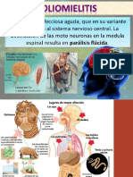 Sistema Inmunológico