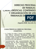 2020-08-05 - DERECHO PROCESAL LABORAL COLECTIVO Características, Contenido  y organización de tribunales agosto 2020 (Alfredo Sor Pixtun).pdf