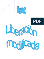 liberacionmodificada_11437.pdf