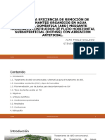 Evaluar La Eficiencia de Remoción de Contaminantes Organicos (Expo Final)