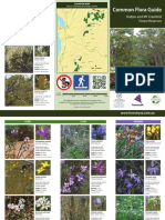 Common Flora Guide Kuitpo MT Crawford Forest Reserves
