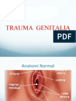 Trauma-Genitalia Wanita