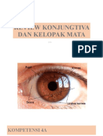 REVIEW KONJUNGTIVA DAN KELOPAK MATA