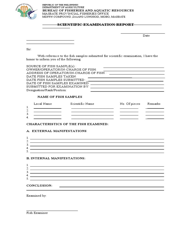 Fish Examination Report Summary | PDF | Fish And Humans | Fish