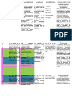 PDF Cuadro Comparativo Perlaaaa - Compress