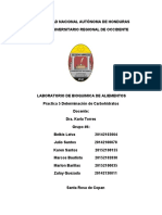 Practica 5 Determinación de Carbohidratos