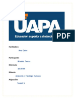 Tarea 5 Anatomía Terminada