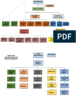 estructura organizacional.pptx