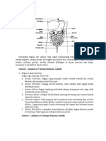 Lambung, Usus halus, Usus besar.