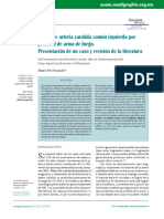 Arteria Carótida PDF