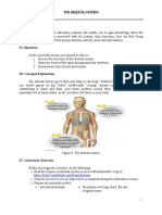 ARMONIA-ALEXA-JOIE-C.-BSN-1B-Manual-Skeletal-System