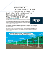 COMO É POSSÍVEL A AGROFLORESTA PRODUZIR ATÉ 80 TONELADAS DE ALIMENTOS POR HECTARE, COM CUSTO MAIS BAIXO E AINDA MELHORANDO O SOLO