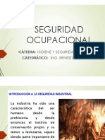 Seguridad Ocupacional