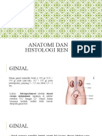 Chintia - BS Anatomi Dan Histologi Ginjal