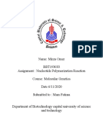 BBT1930033 Nucleotide Polymerization Reaction