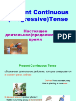 Present Continuous (Progressive) Tense